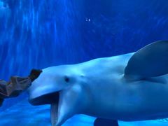 -多彩贵州城极地海洋世界