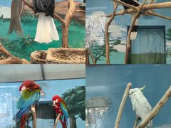 -沈阳森林动物园