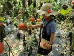 -万源龙顺度假庄园生态观光园