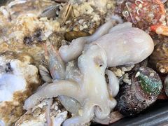 -北方饺子王·海肠捞饭·海鲜锅(山大店)