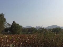-长兴太湖图影湿地文化园