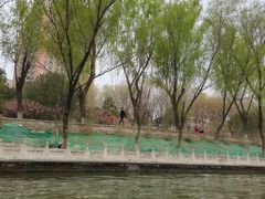 -皇家御河游(紫御湾码头)