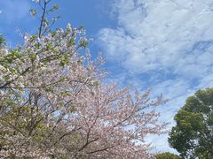 -上海滨江森林公园