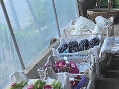 -马陆小张葡萄园农家乐