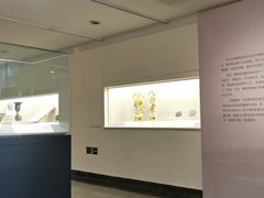 -北京大学赛克勒考古与艺术博物馆
