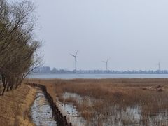 -野鸭湖国家湿地公园