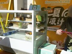 -维尔纳斯·生日蛋糕动物奶油冰淇淋蛋糕(人大店)