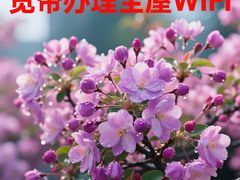 -闪电修企业手机电脑回收(西湖风景名胜区店)