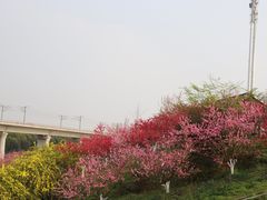 -秀丽东方