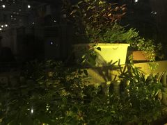 -蠔爺王志德生蚝馆(金沙湾店)