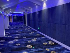 -飞扬影城(正佳IMAX店)