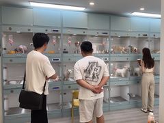 -萌宠之家·腊肠犬·马尔泰·小体犬舍