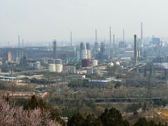 -白水寺森林公园