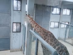 -济南野生动物世界
