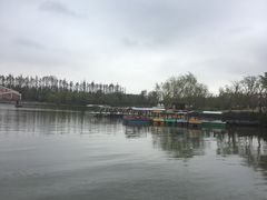 -上海长兴岛郊野公园