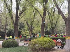 -莲花池公园