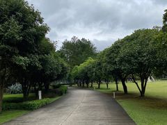 -Club Med地中海俱乐部·桂林度假村