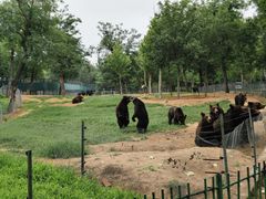 -秦皇岛野生动物园