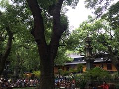 -普陀山风景名胜区-法雨禅寺