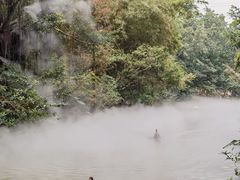 -广州长隆飞鸟乐园