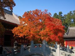 -香山公园