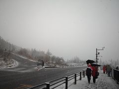 -富士山吉田線五合目