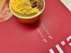 -Dal Cuore 达可芮冰淇淋(陕西北路店)