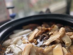 -蘑统田下·野生菌火锅