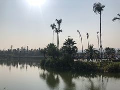 -枫香湖儿童公园