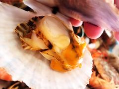 -蓝珊甄选海鲜自助·火锅大排档(近阿那亚店)