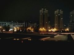 -沈阳于洪碧桂园凤凰酒店
