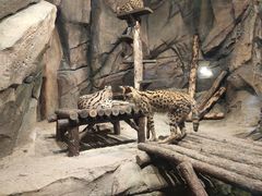 -波塞冬旅游度假区