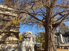-北京石刻艺术博物馆(五塔寺)