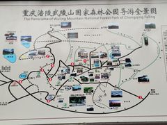 -武陵山森林公园