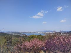 -香雪海