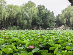 -莲池书院博物馆