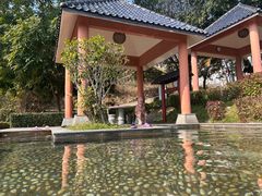 -罗浮山嘉宝田森林温泉度假酒店