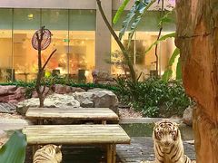 -白虎自助餐厅·真老虎·景观自助餐厅(广州长隆酒店)