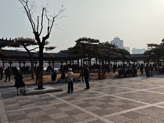 -匹夫涮肉城(广场店)