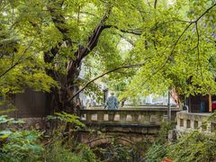 -土城古镇
