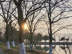 -阳澄湖费尔蒙酒店
