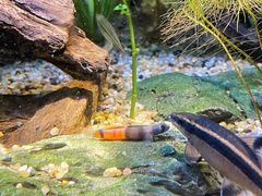 -上海海洋水族馆