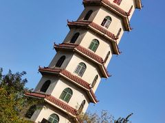 -商丘市人民公园