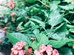 -苏州河梦清园环保主题公园