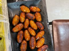 -燚青春东北泥炉烤肉(百合店)