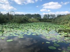 -溱湖国家湿地公园