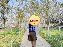 -秀丽东方