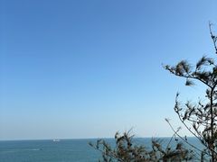 -广东惠东海龟国家级自然保护区