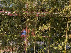 -Geneva日内瓦餐厅(西郊宝成花苑店)