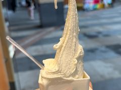 -野人先生Gelato(上海长宁龙之梦店)